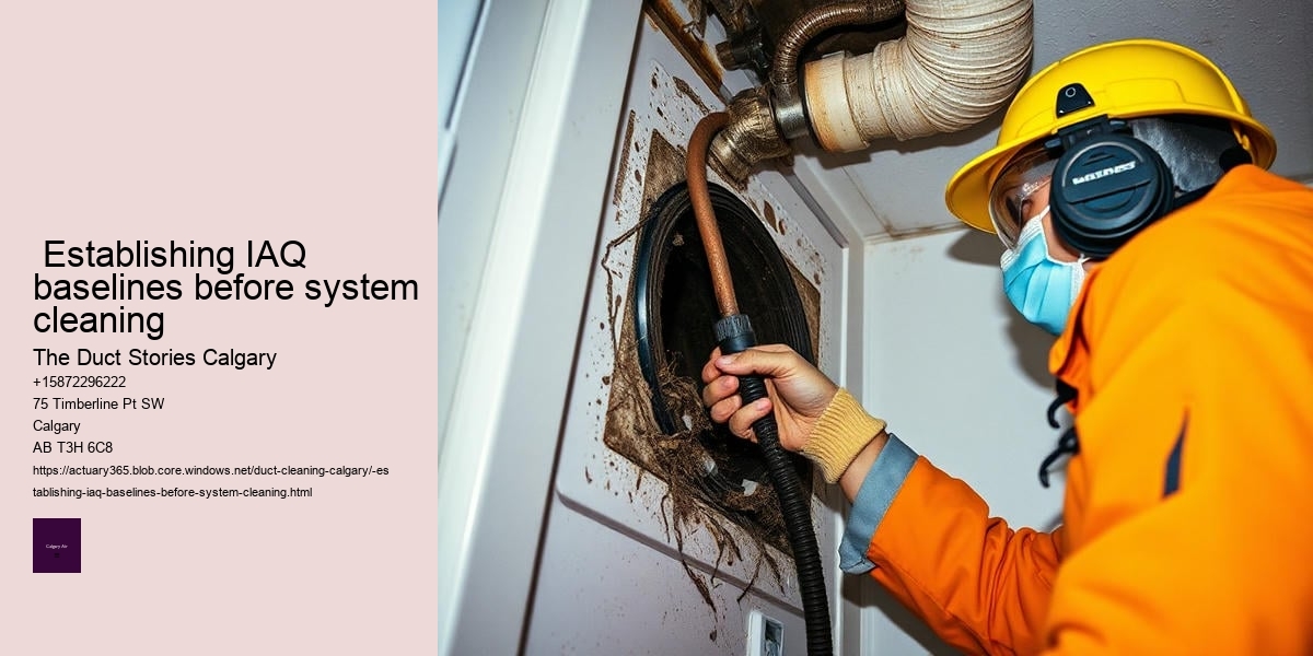  Establishing IAQ baselines before system cleaning